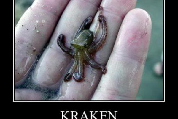 Ссылка кракен kraken torion net