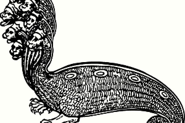 Kraken 6 at