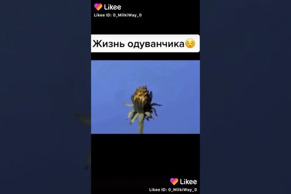 Kraken актуальное